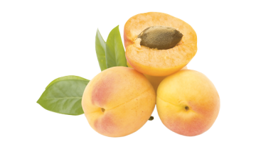 Sono disponibili numerose varietà di albicocche, che possono essere suddivise in due gruppi principali: a frutto ovale e a frutto tondo