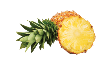 L'ananas si presenta con una buccia spessa formata da placchette pungenti, sormontato da un ciuffo di foglie verde scuro.