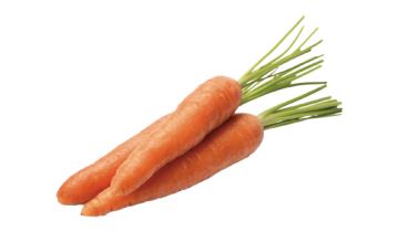 La carota è un’importante alleata per intestino, sistema cardiovascolare, occhi, tessuti corporei e mucose.