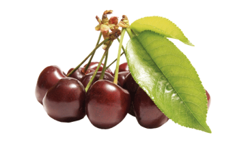 La ciliegia dolce fornisce una buona quantità di potassio e si caratterizza per la presenza di elementi come fibre,calcio, fosforo, vitamine.