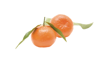 Le clementine sono fonte eccellente di sali minerali, acidi organici e fibre.