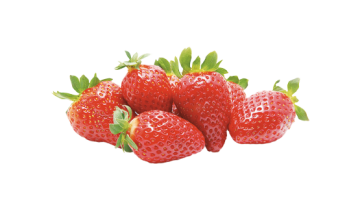 La fragola è in realtà un falso frutto: è costituito dal ricettacolo fiorale che si accresce e si fa succulento e presenta sulla superficie dei piccoli acheni (veri frutti).