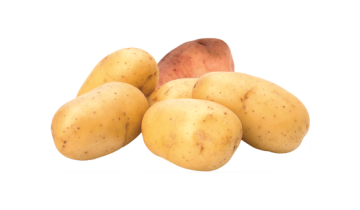 Le patate hanno un elevato contenuto di amido e un discreto contenuto di proteine e di vitamina C, per cui costituiscono un ottimo alimento.
