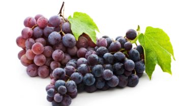 I tre motivi per cui fa bene mangiare l'uva - Happy fruit